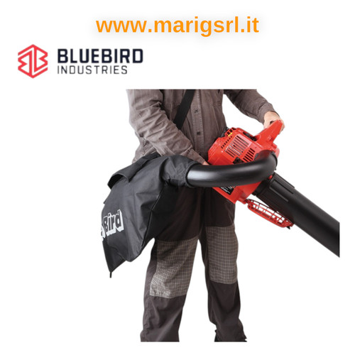 Soffiatore aspiratore blue - soffiatore,